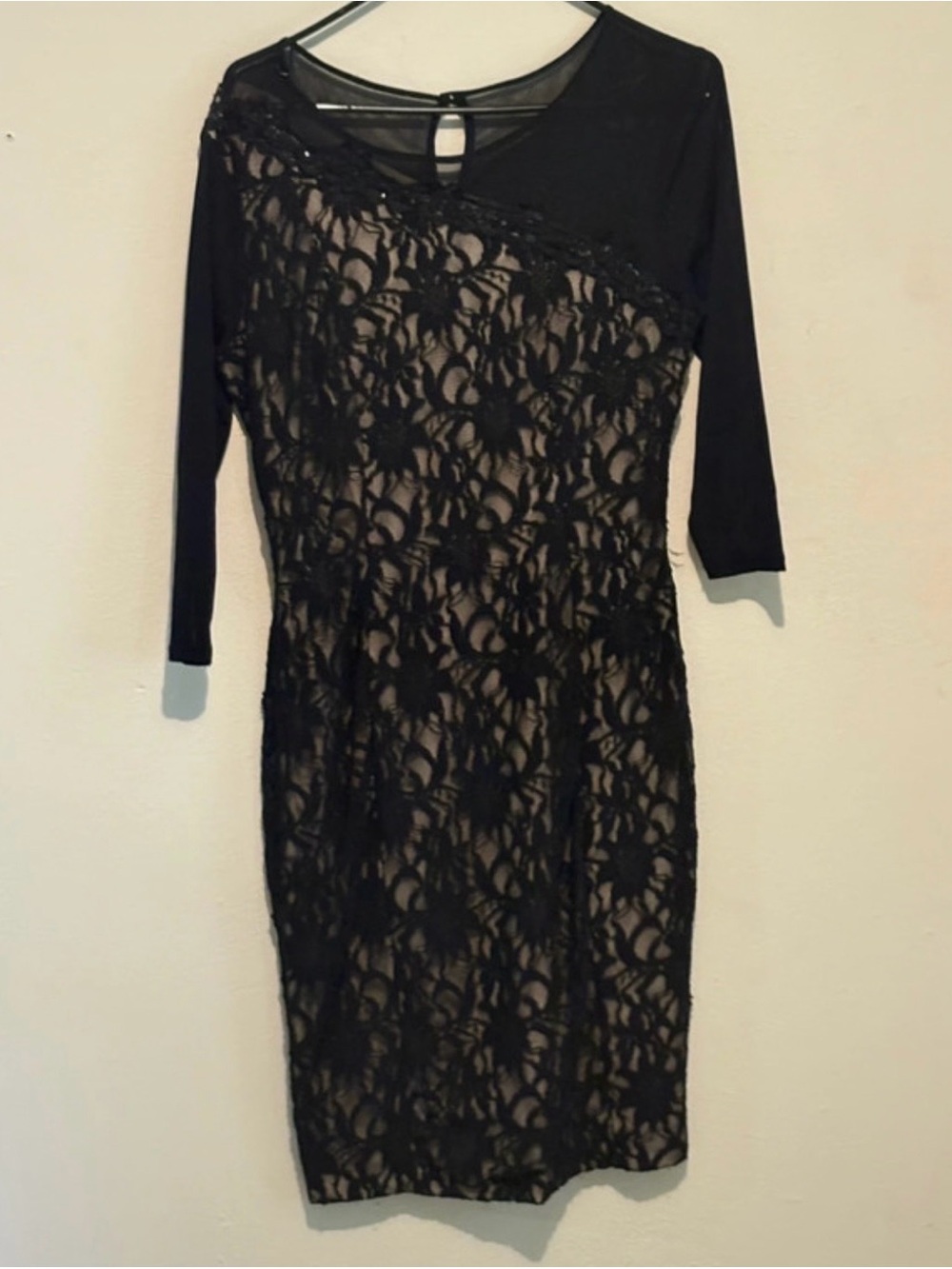 Signature by Sangria Black Lace Sheath Dress with Nude Underlay